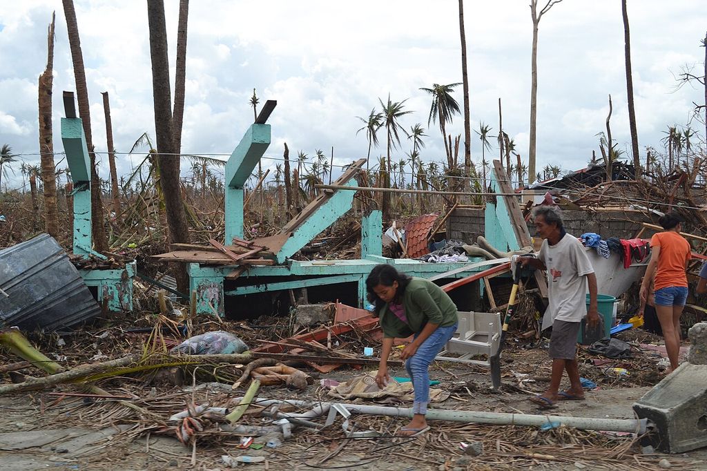 People pick through the wreckage of a destroyed house among broken palm trees on the outskirts of Tacloban.